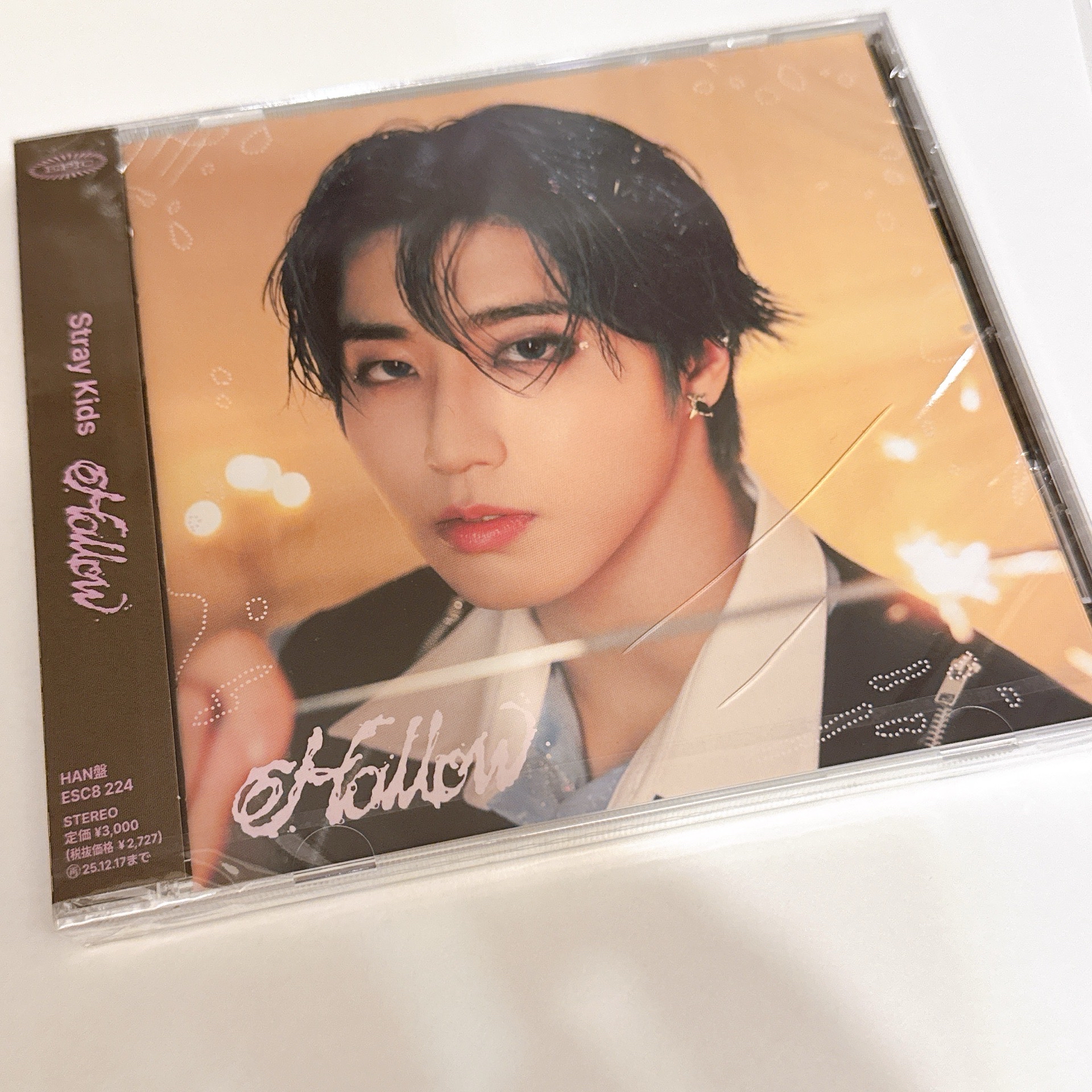 ［損］Hollow 單封 城