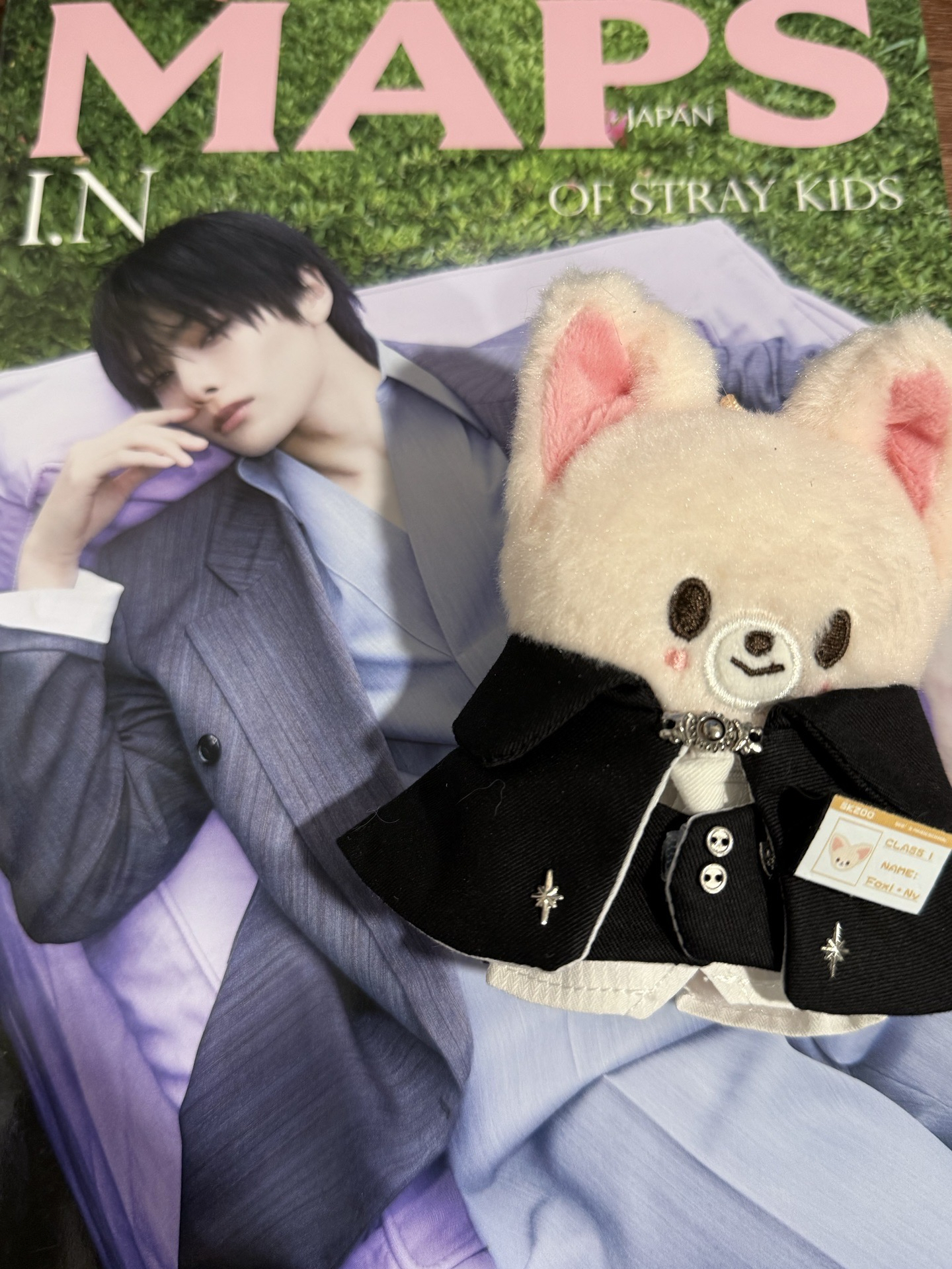 I.N 梁精寅 特典 專卡區（1）