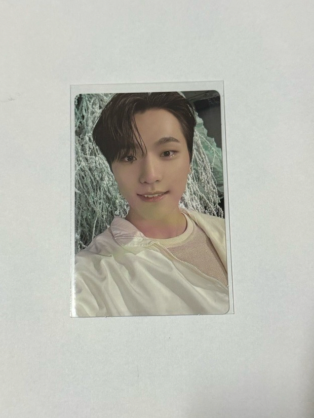 DINO Sector17 專輯卡