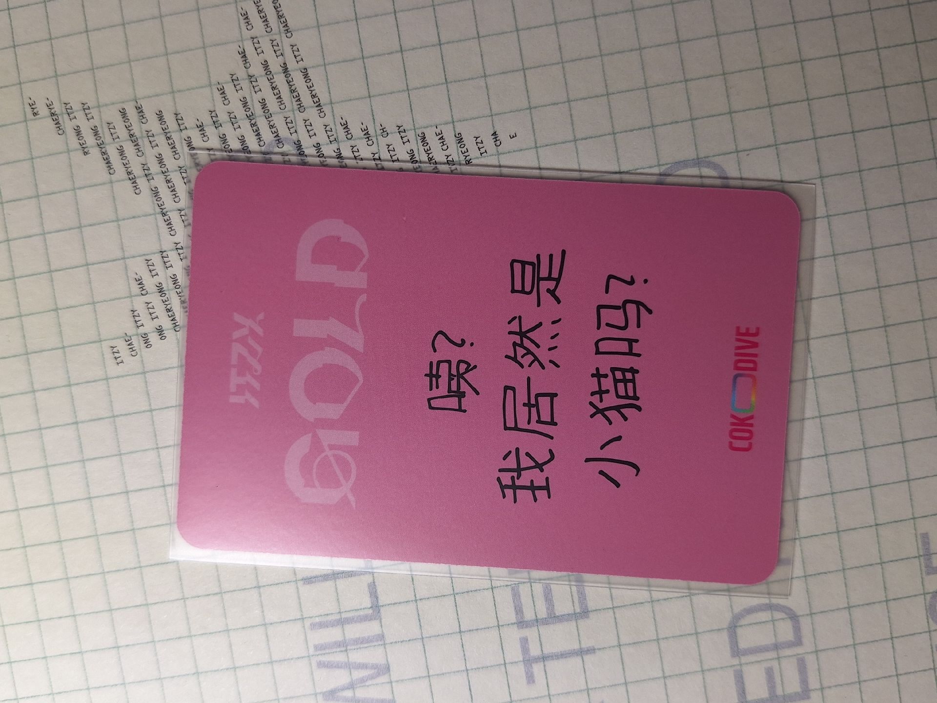 coko志中背含綁