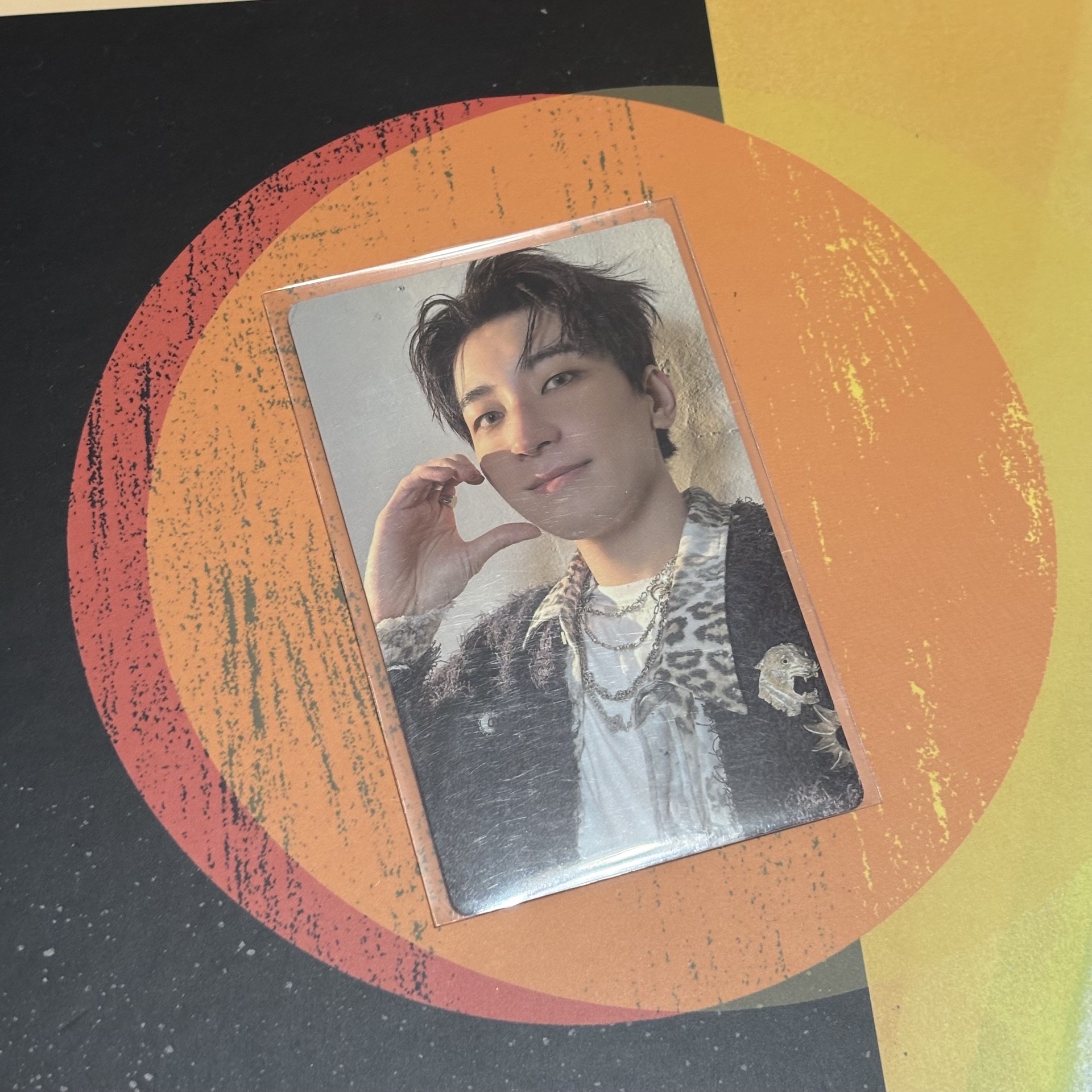 圓 正五 Wvs特典卡