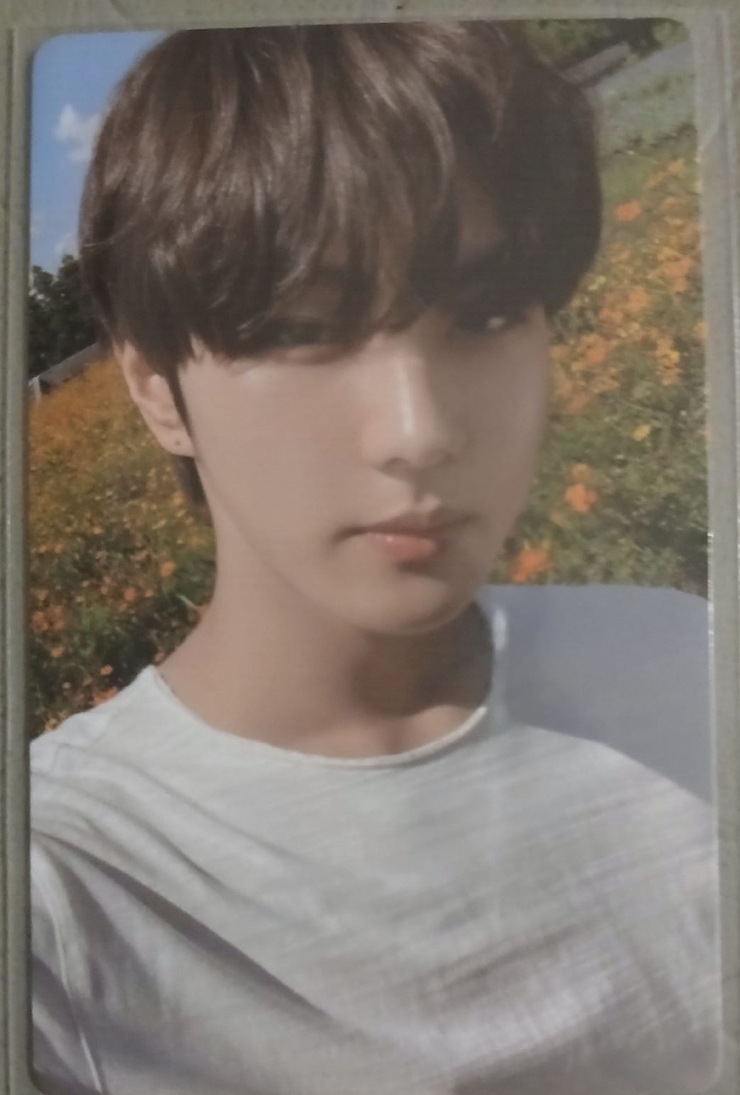 ENHYPEN 禎元小卡