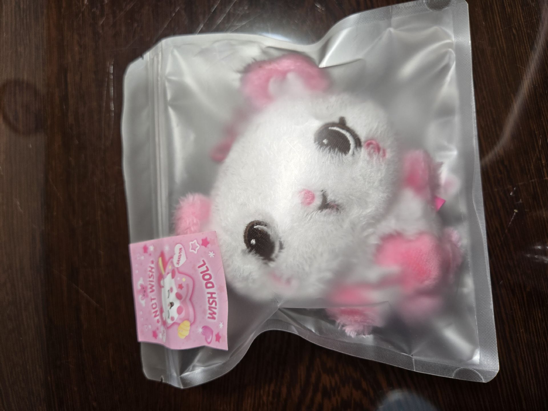 咲哉小卡+Sakupang