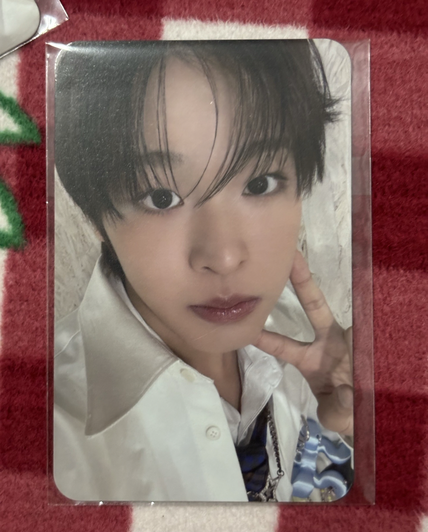 poppop mumo特典卡