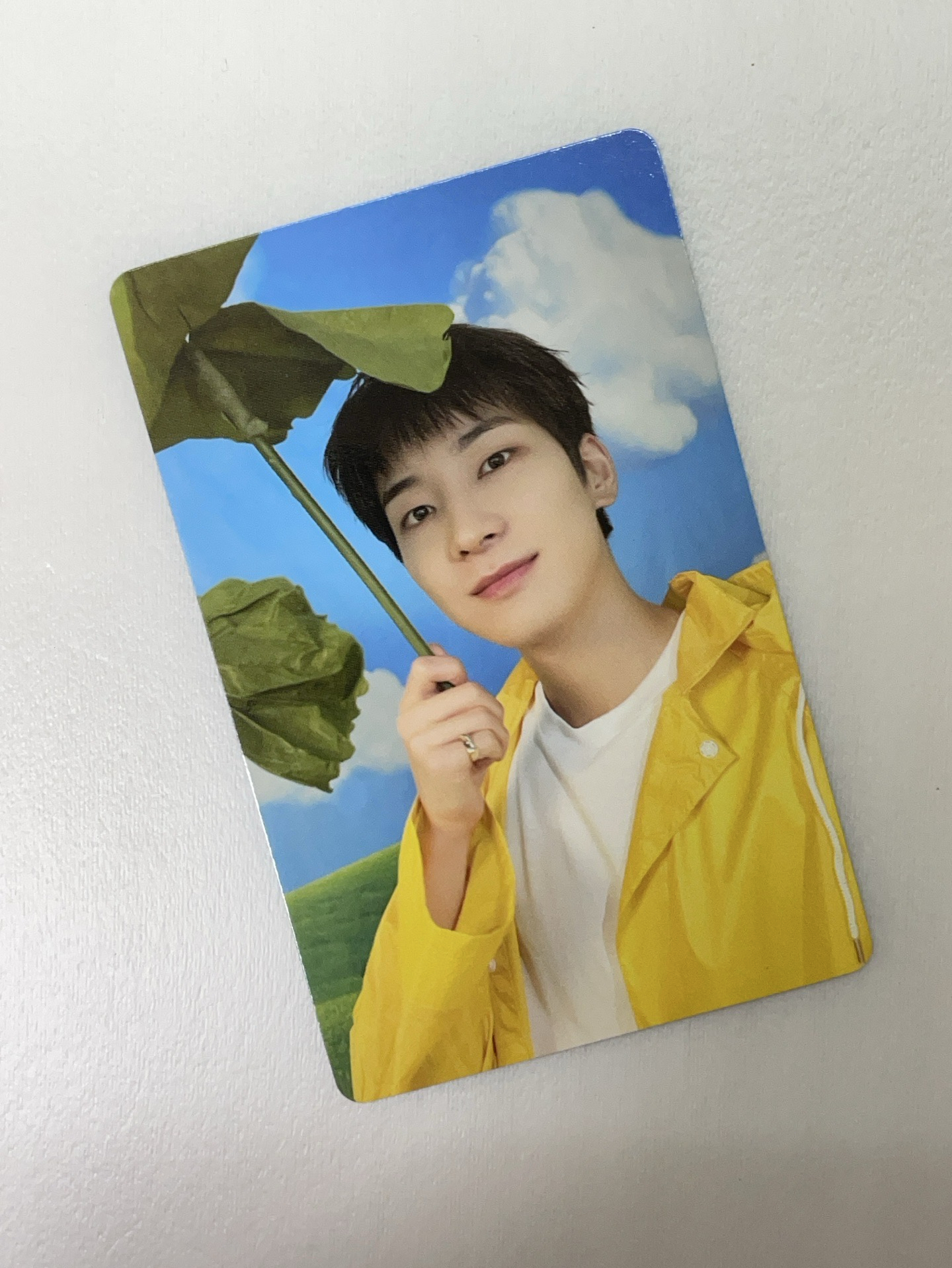 圓 迷11克拉盤專卡