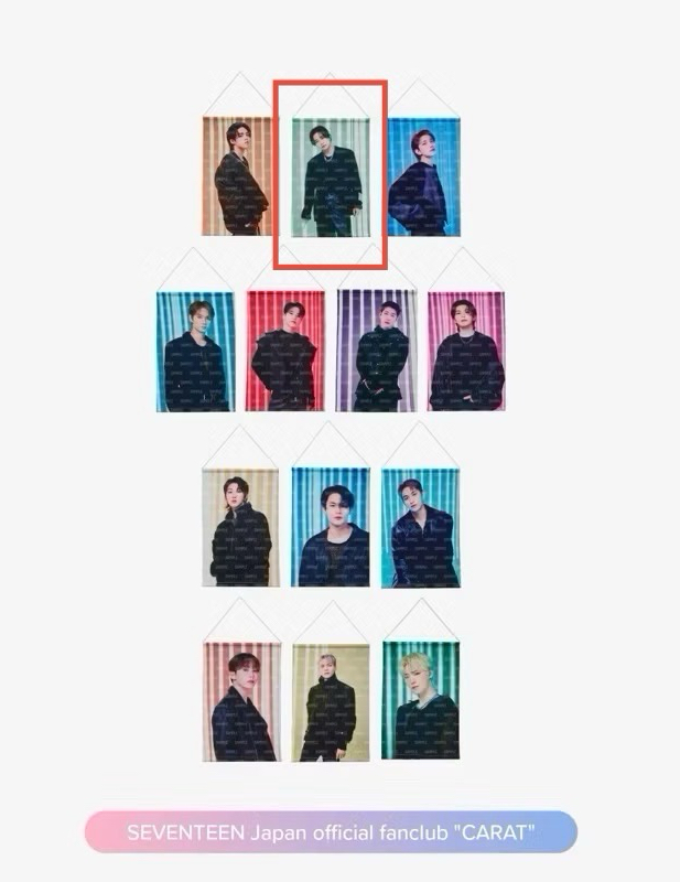 SEVENTEEN FOLLOW TO JAPAN 演唱會 周邊 (卡夾 人像扇子 立牌 掛畫)