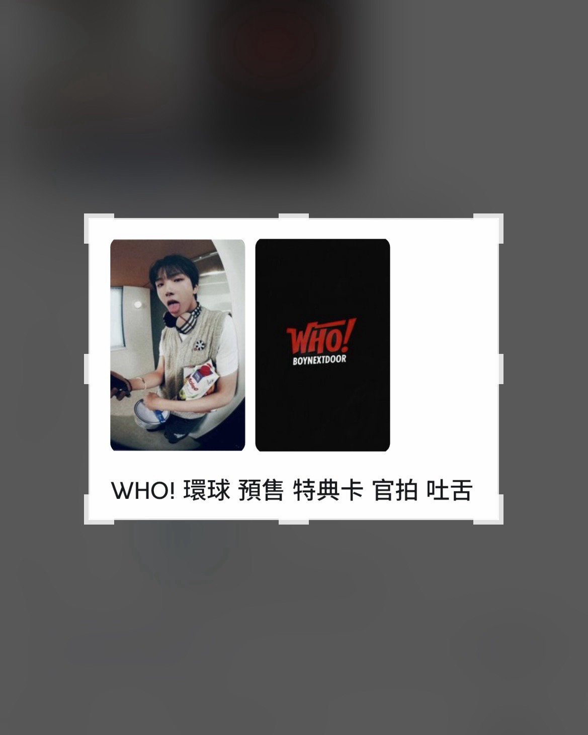 金雲鶴 WHO! 環球預售 嘔吐鼠王