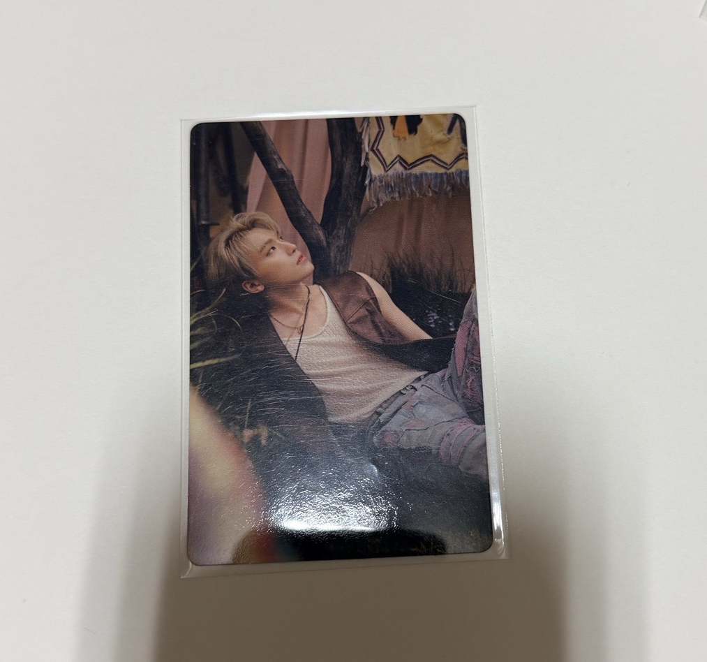 Mini11 Wvs 特典卡 Dino 