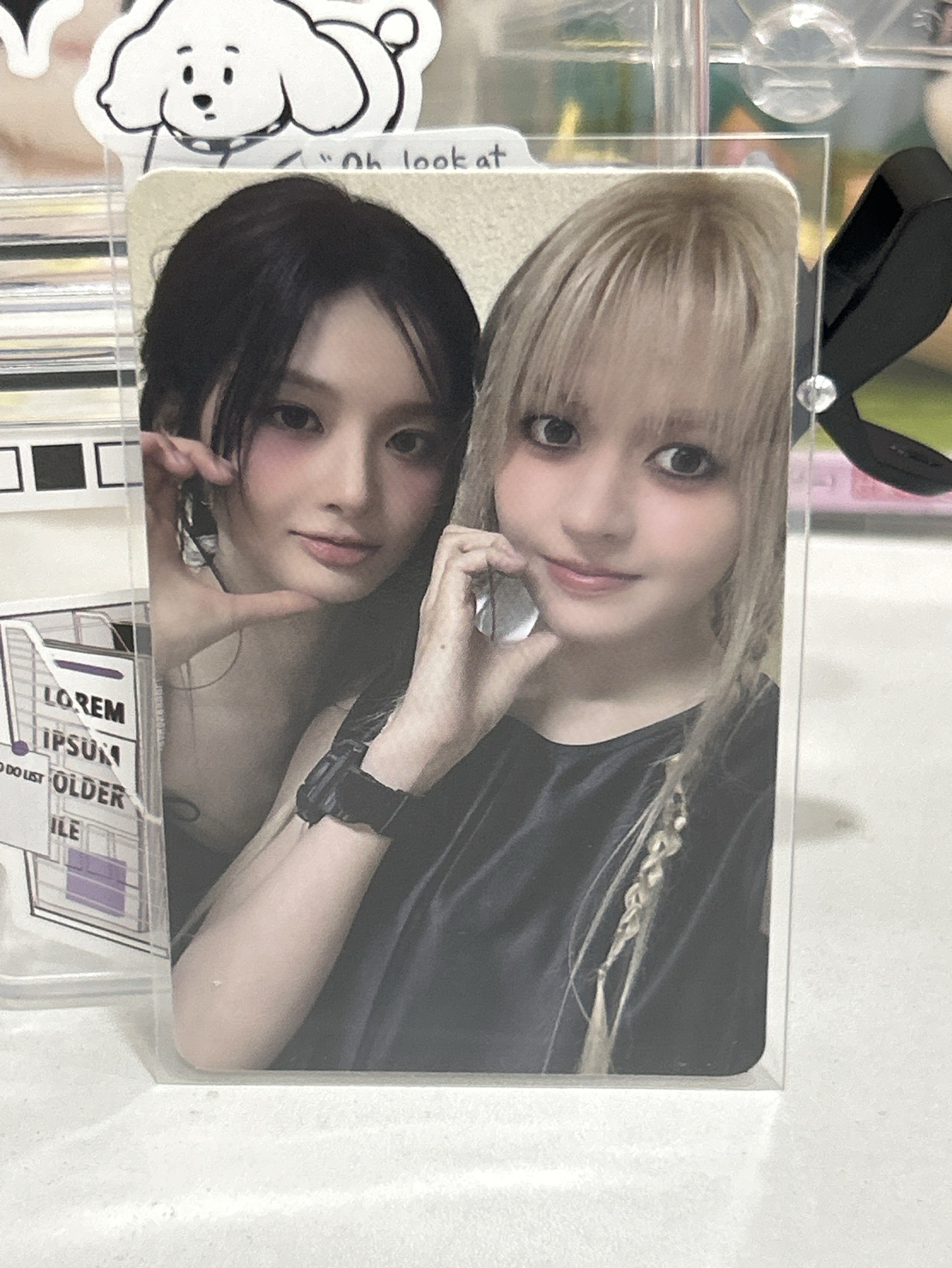NMIXX 薛莉雙人卡