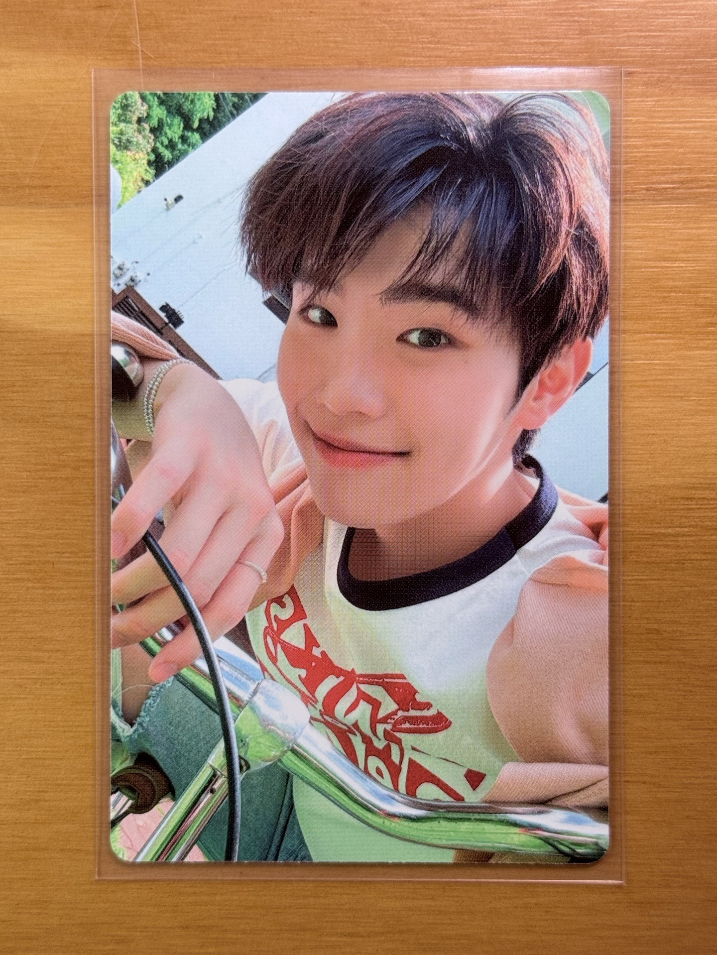 ZB1 迷四 來專卡 ROMANCE ver.