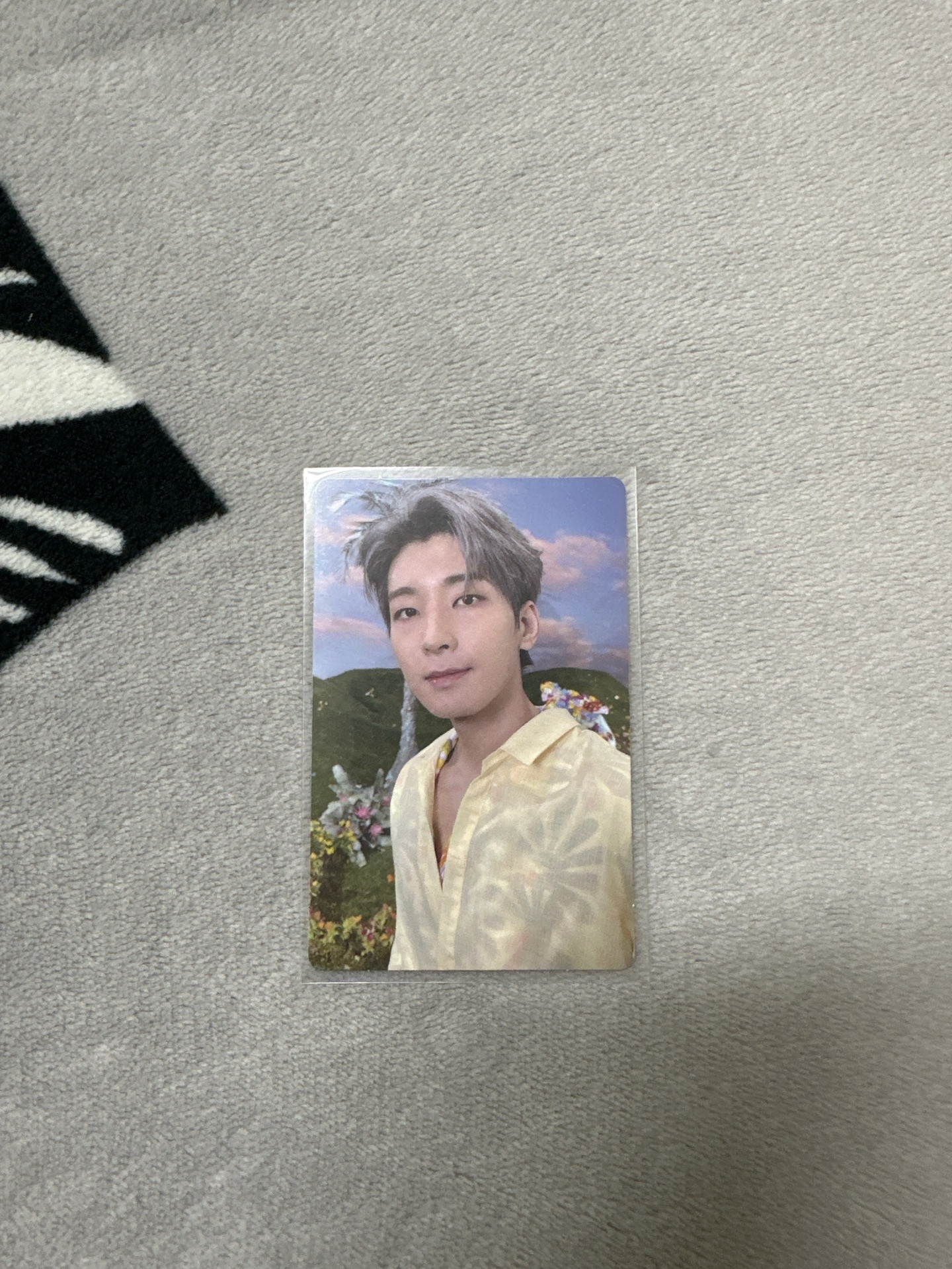 正四後續 專卡（圓）