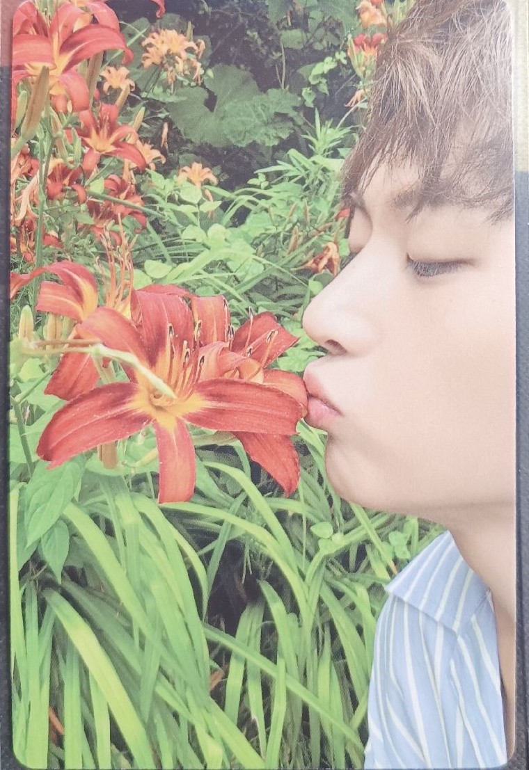 迷四PB綠版專卡修