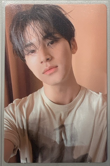 正規四克拉盤隨機卡