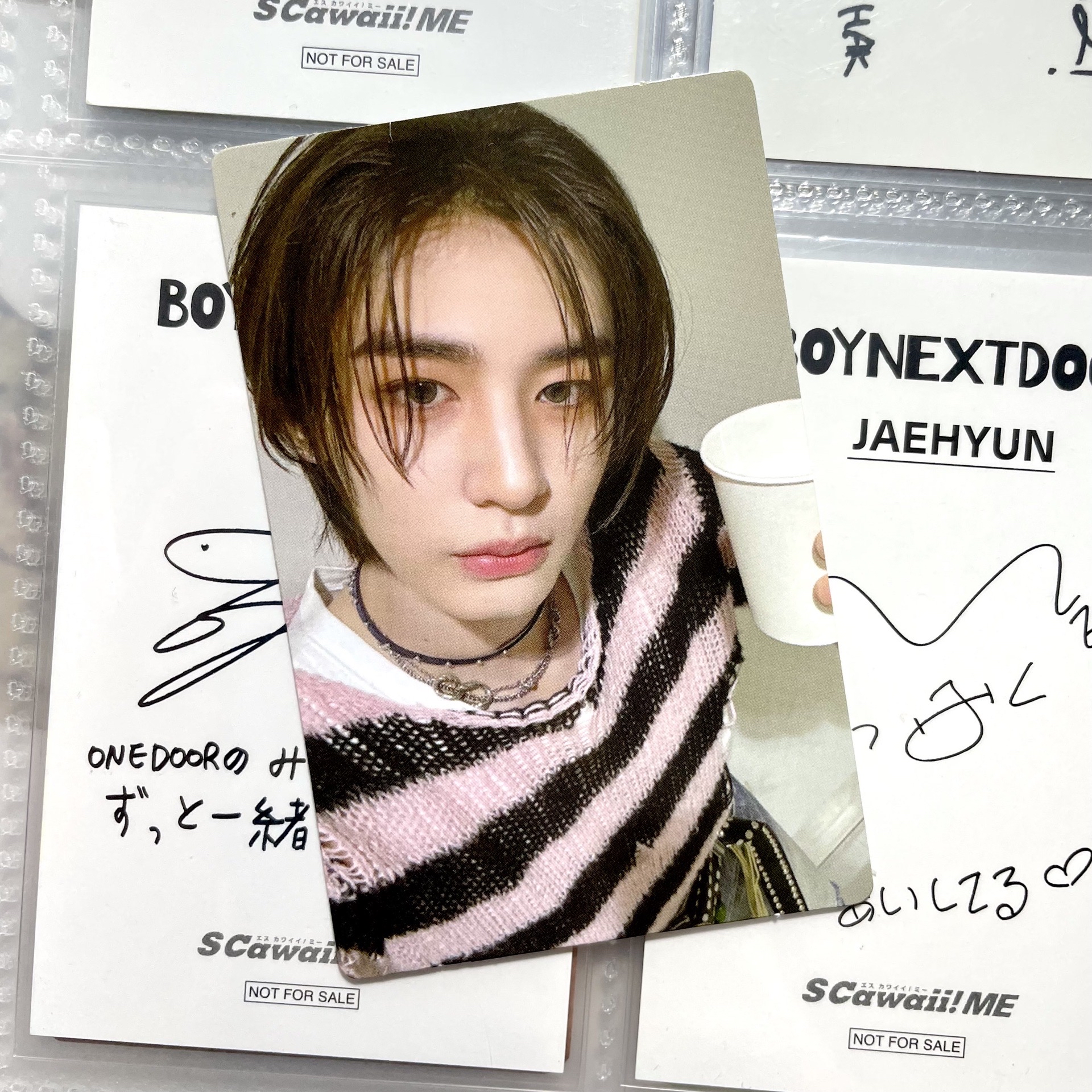 🐧金桐儇 19.99隨機卡