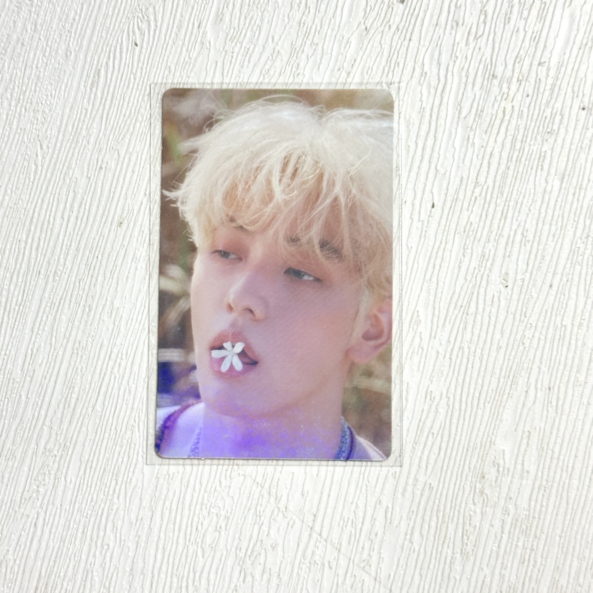 迷五 WVS特典閃卡 崔秀彬