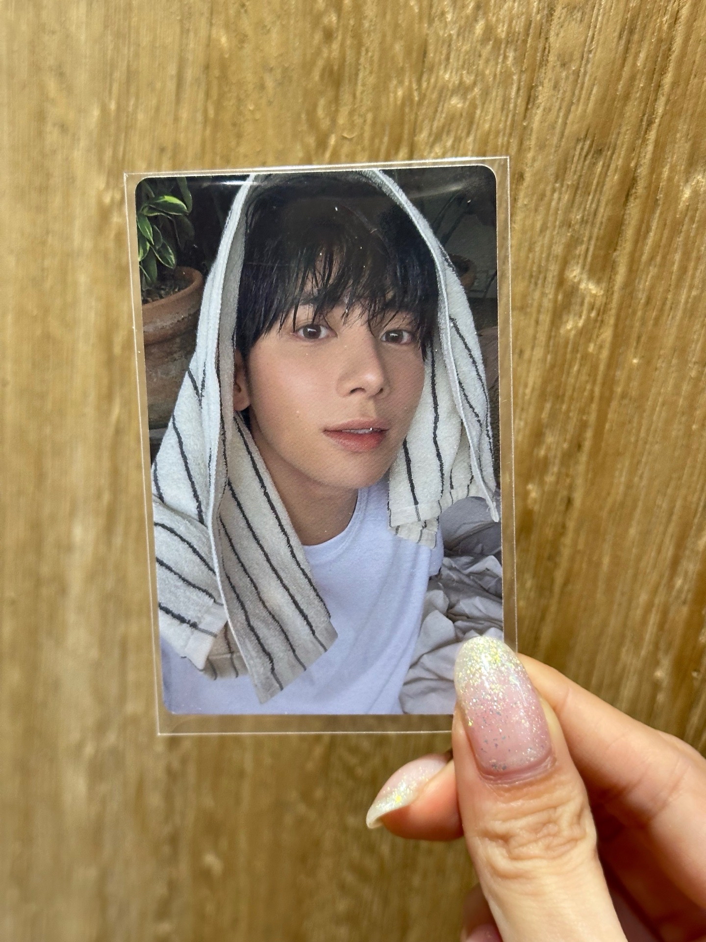 迷七 專輯卡 單封 顯