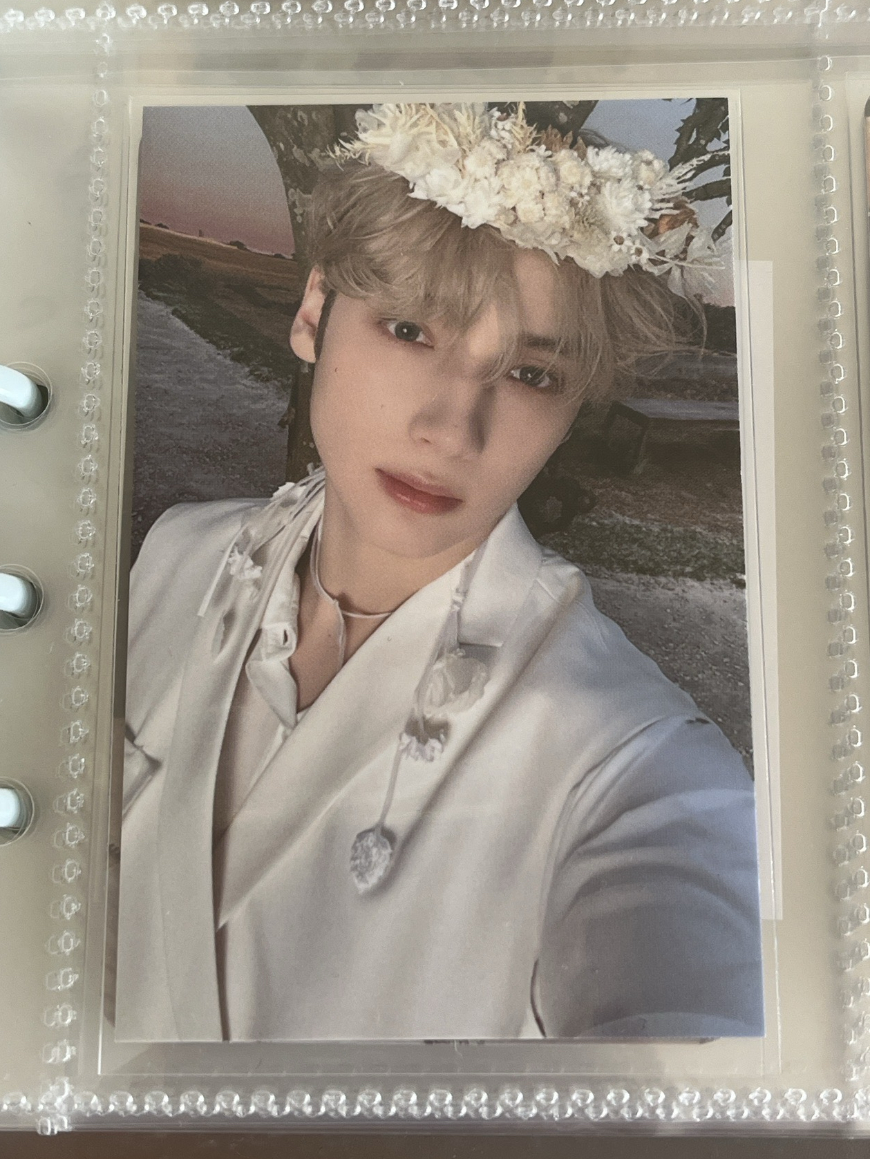 休寧凱 場限卡 粽卡