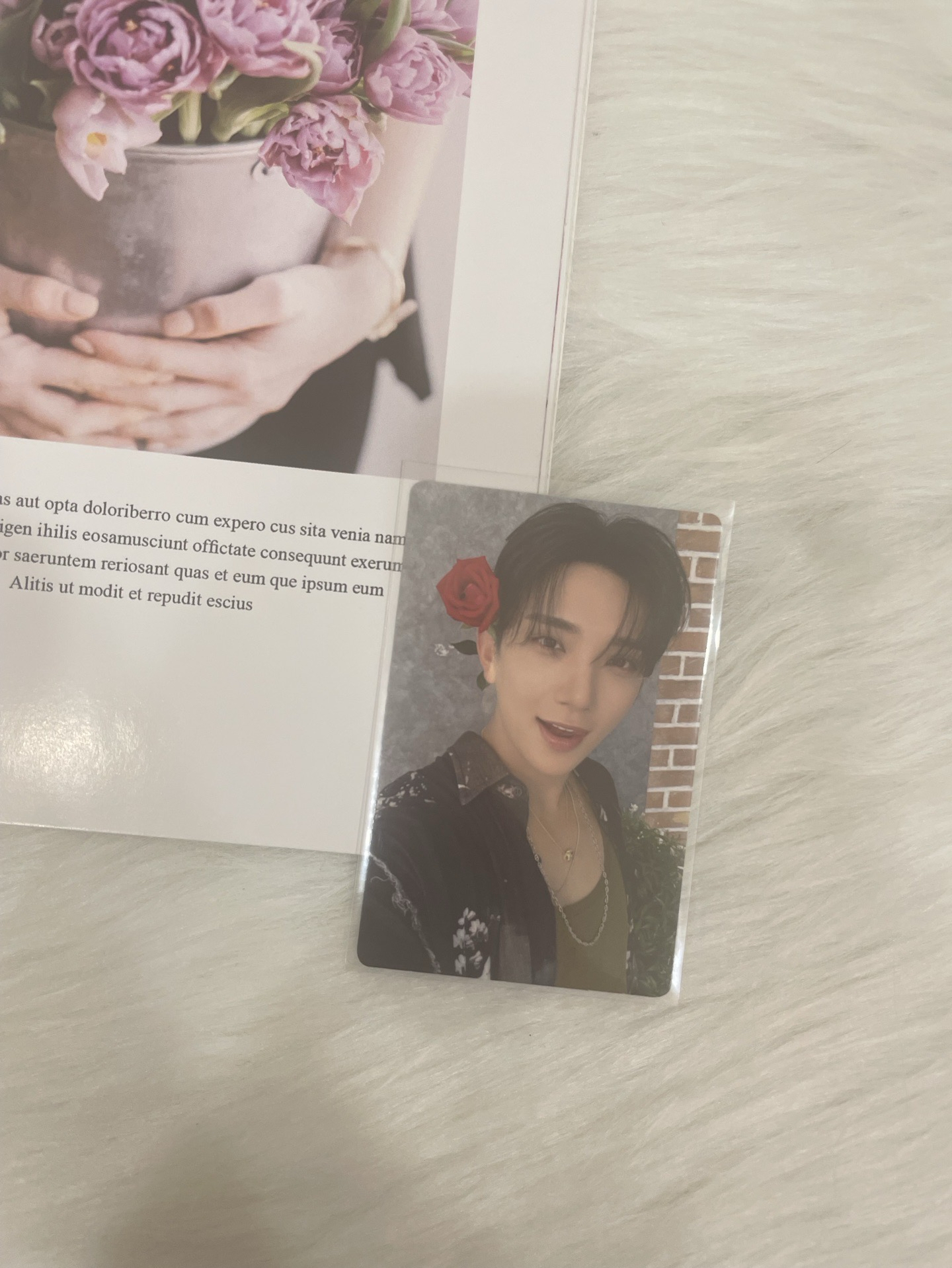 【SVT】mini12 kit 全專 玫瑰秀