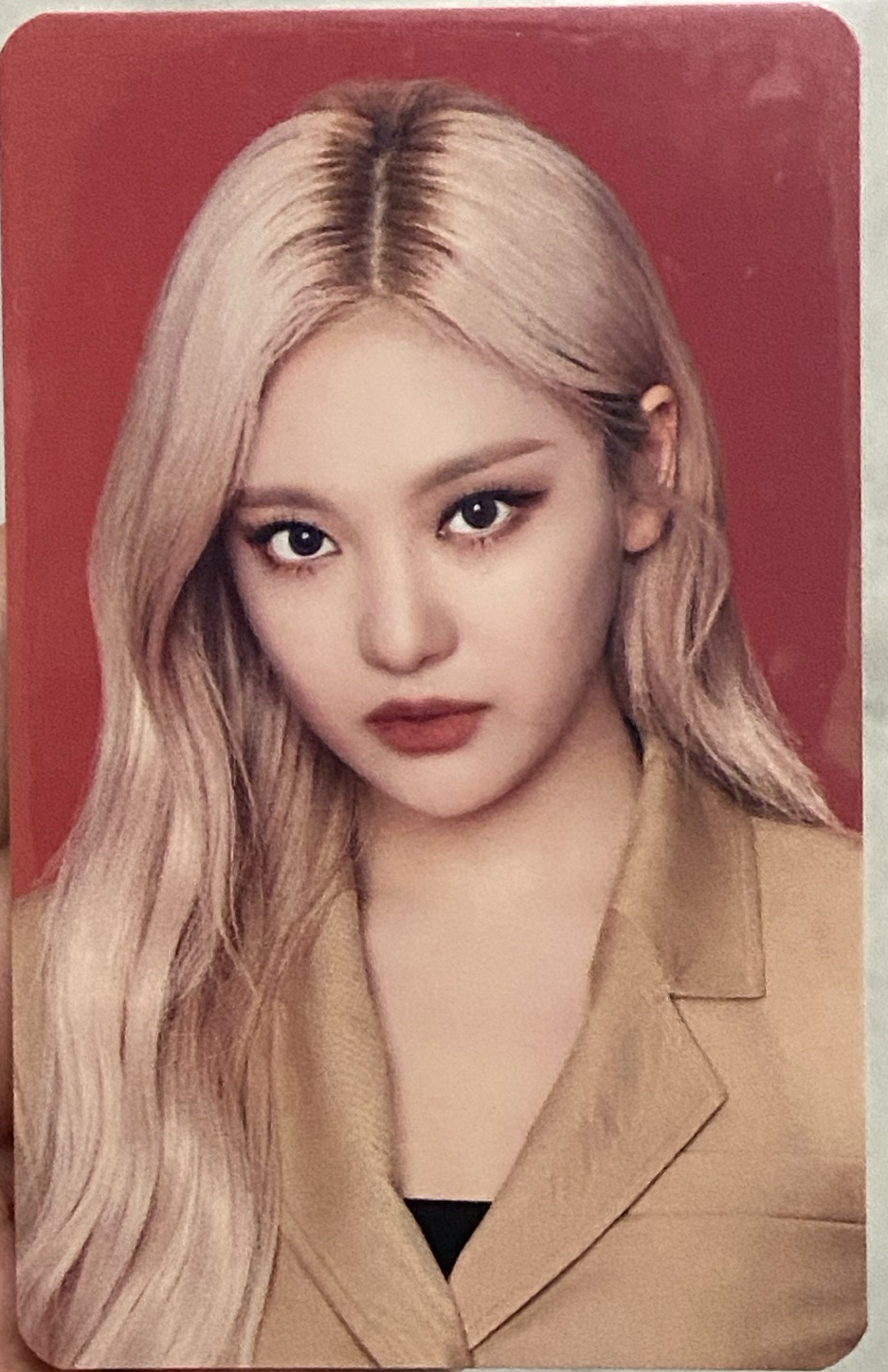 💙My world樂天寧