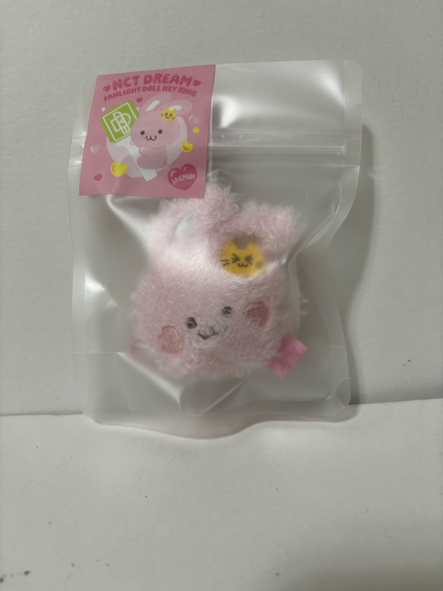 NCT DREAM 渽民 官方娃 手燈鑰匙圈 糰子