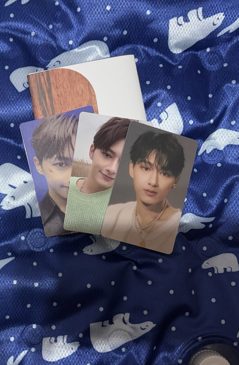 Face the sun 電子專 俊