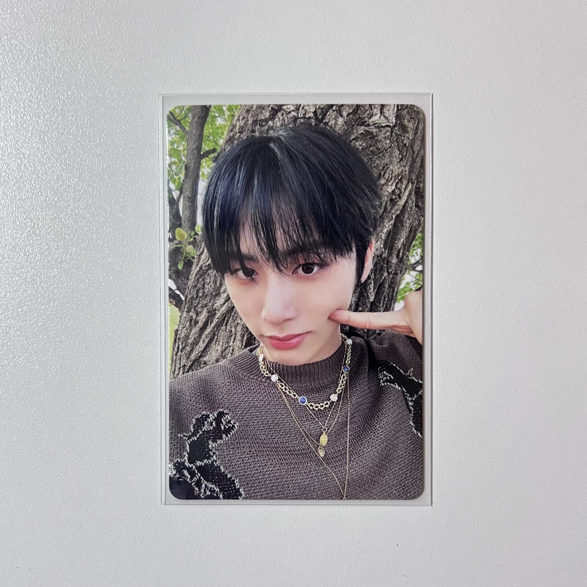 🐈‍⬛泰山 Why qq音樂星光卡