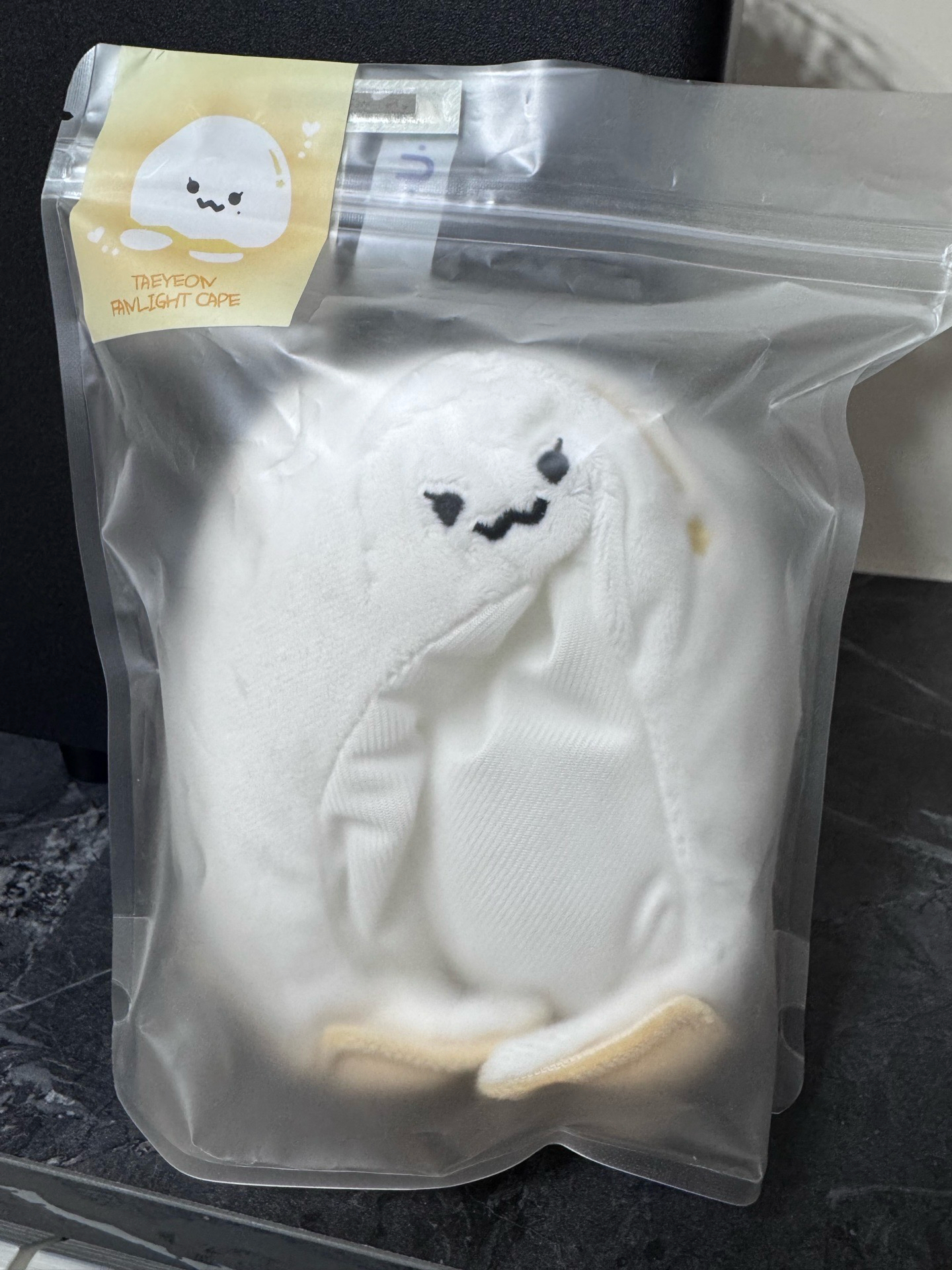 泰妍 25‘世巡 蛋頭手燈套