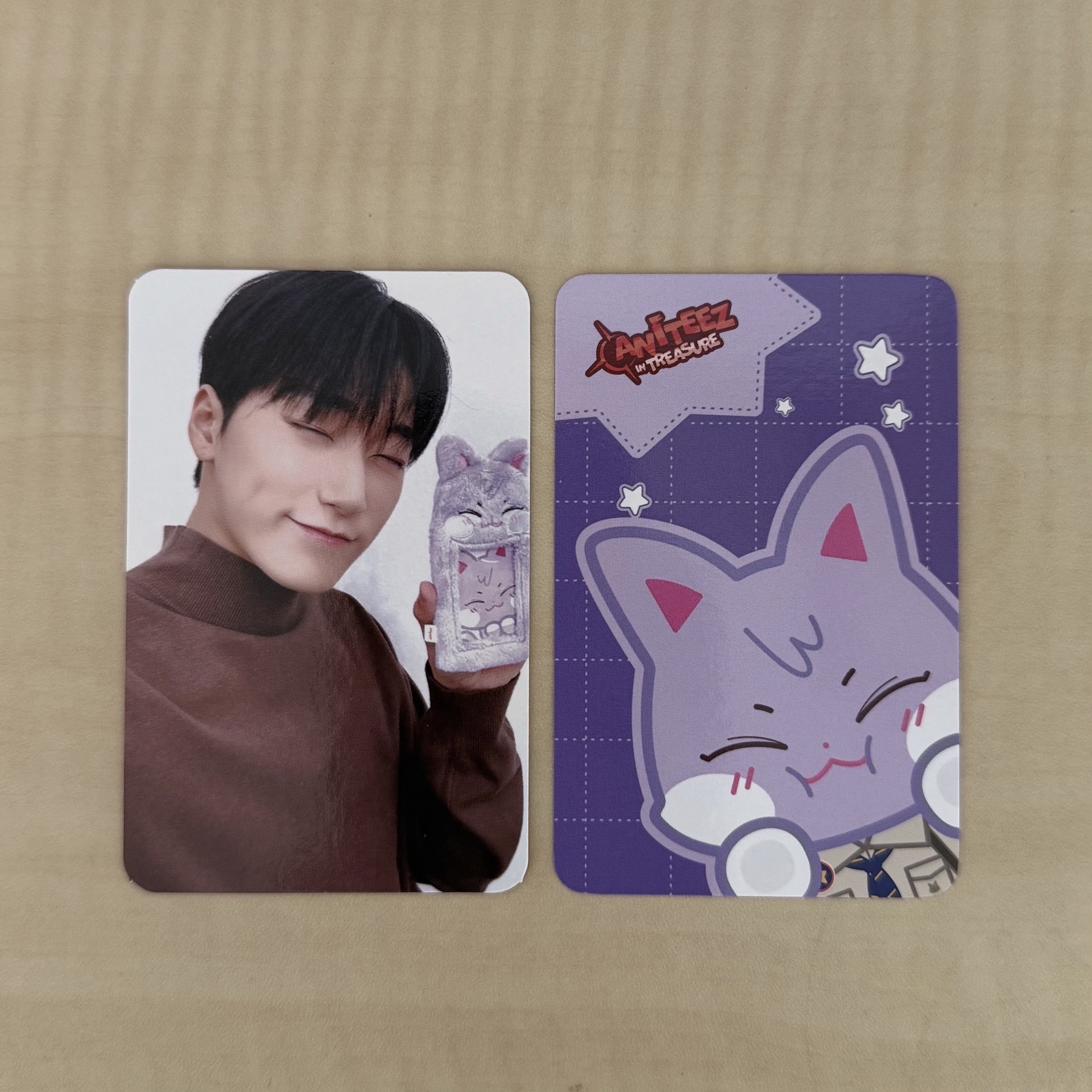 崔傘 aniteez 傘德 小卡 周邊卡 卡套卡 日本限定徽章卡