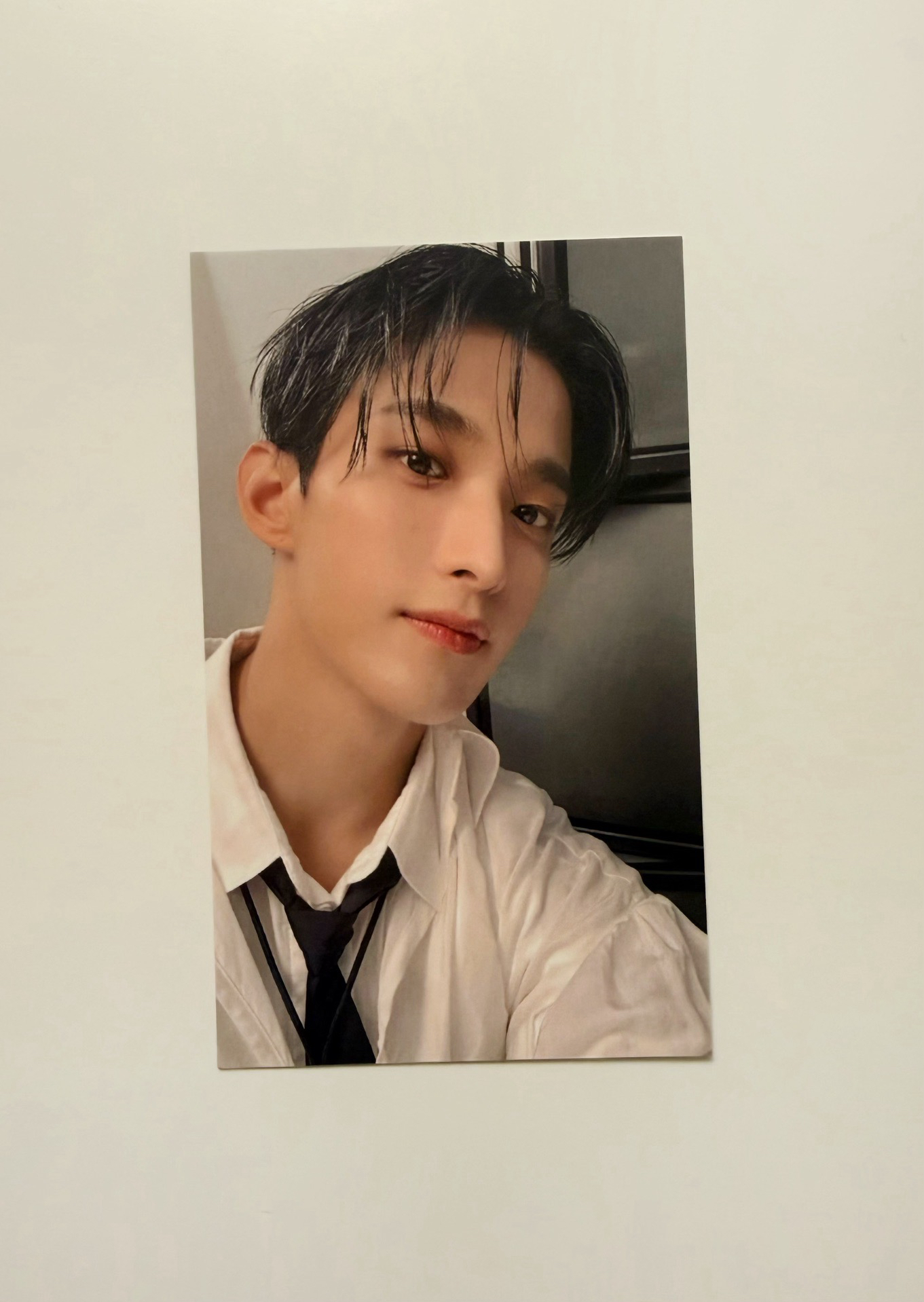 精選專｜環球克拉盤 預售特典 碩珉DK