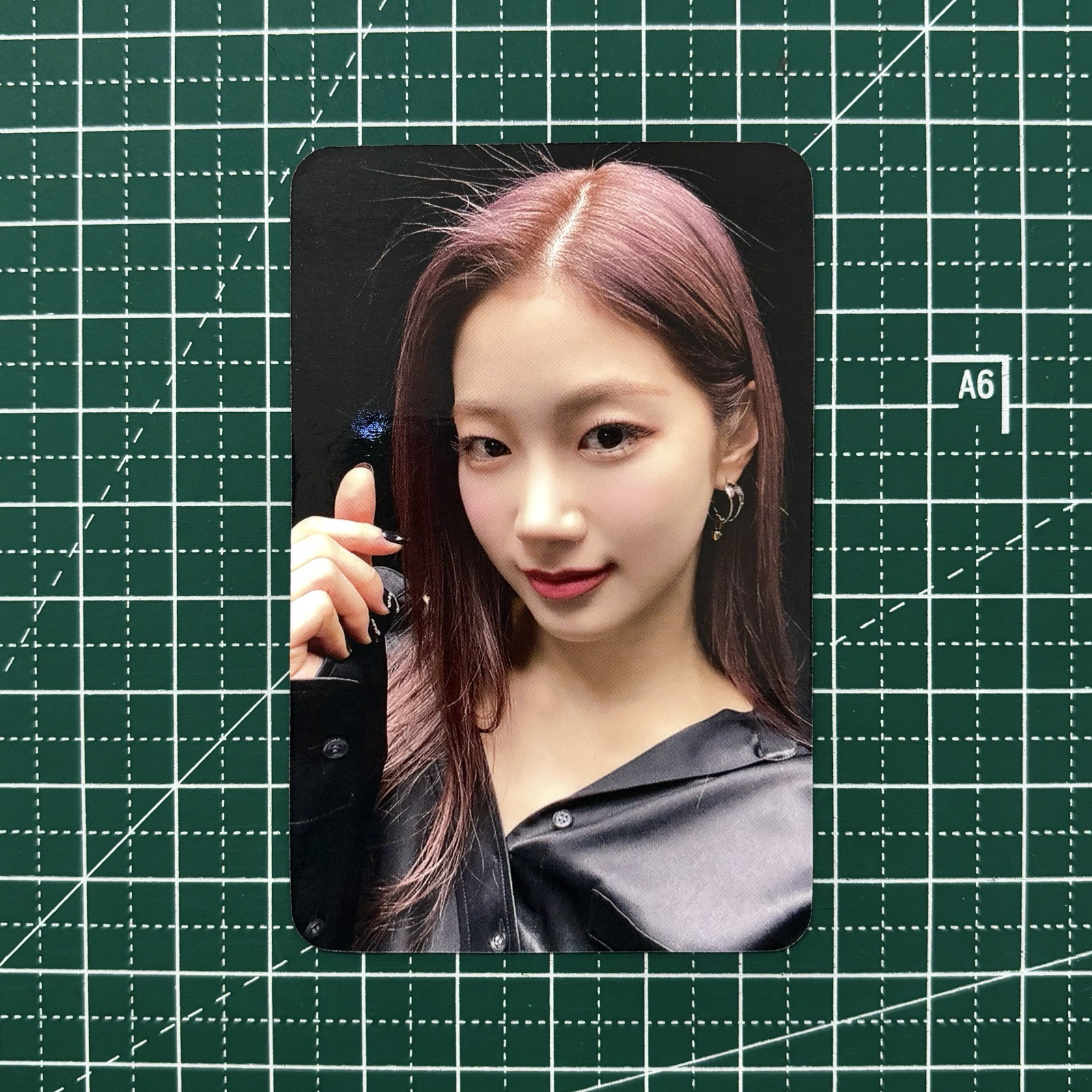 𓊆 各種 Fearless 葉 𓊇