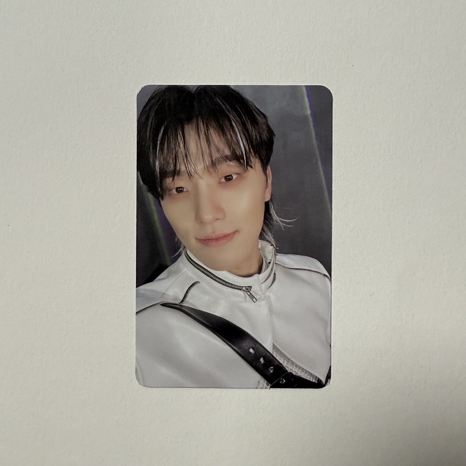 🦦DINO 正四 專輯卡 正規四｜Ep2 ver.