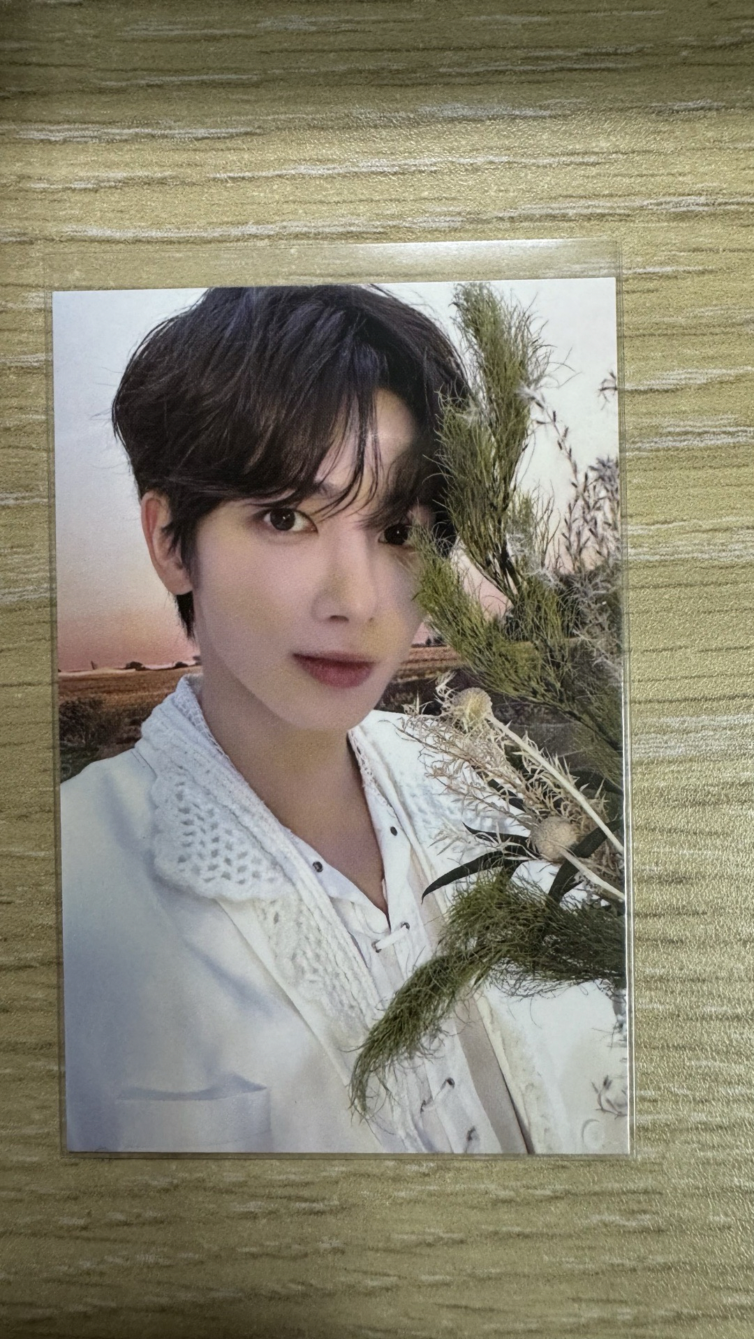 ACT:PROMISE 粽卡（顯）