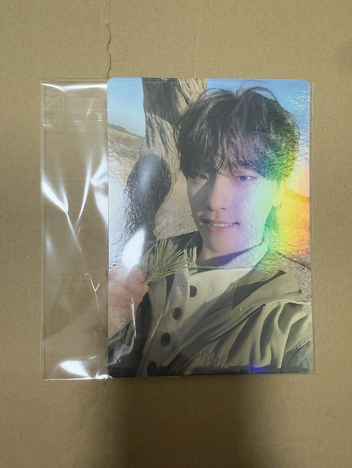 正四 wvs特典大卡