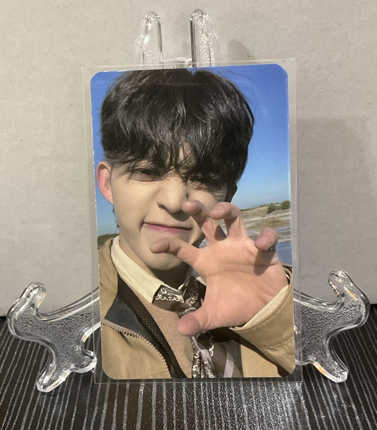 seventeen 哲 虎爪哲 ⚠️有損