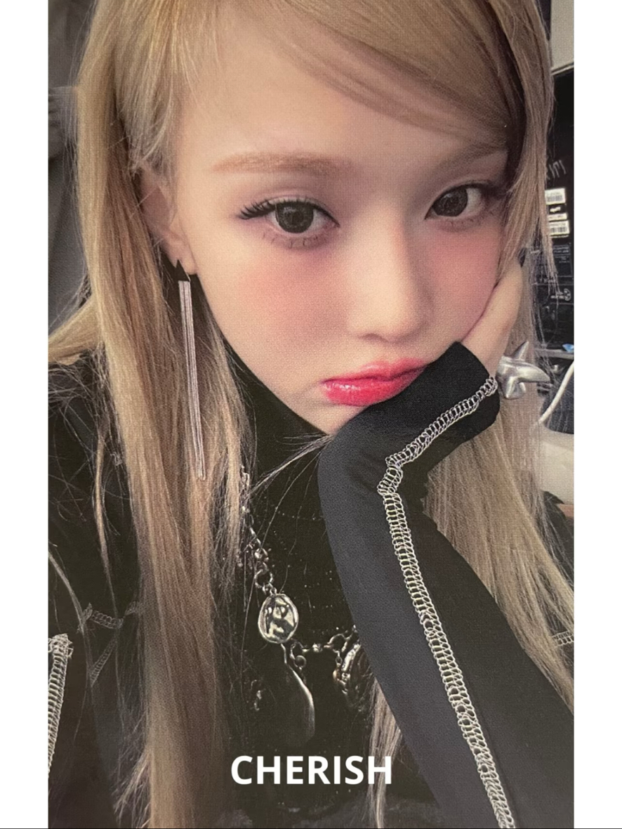 Whiplash sw預售冬