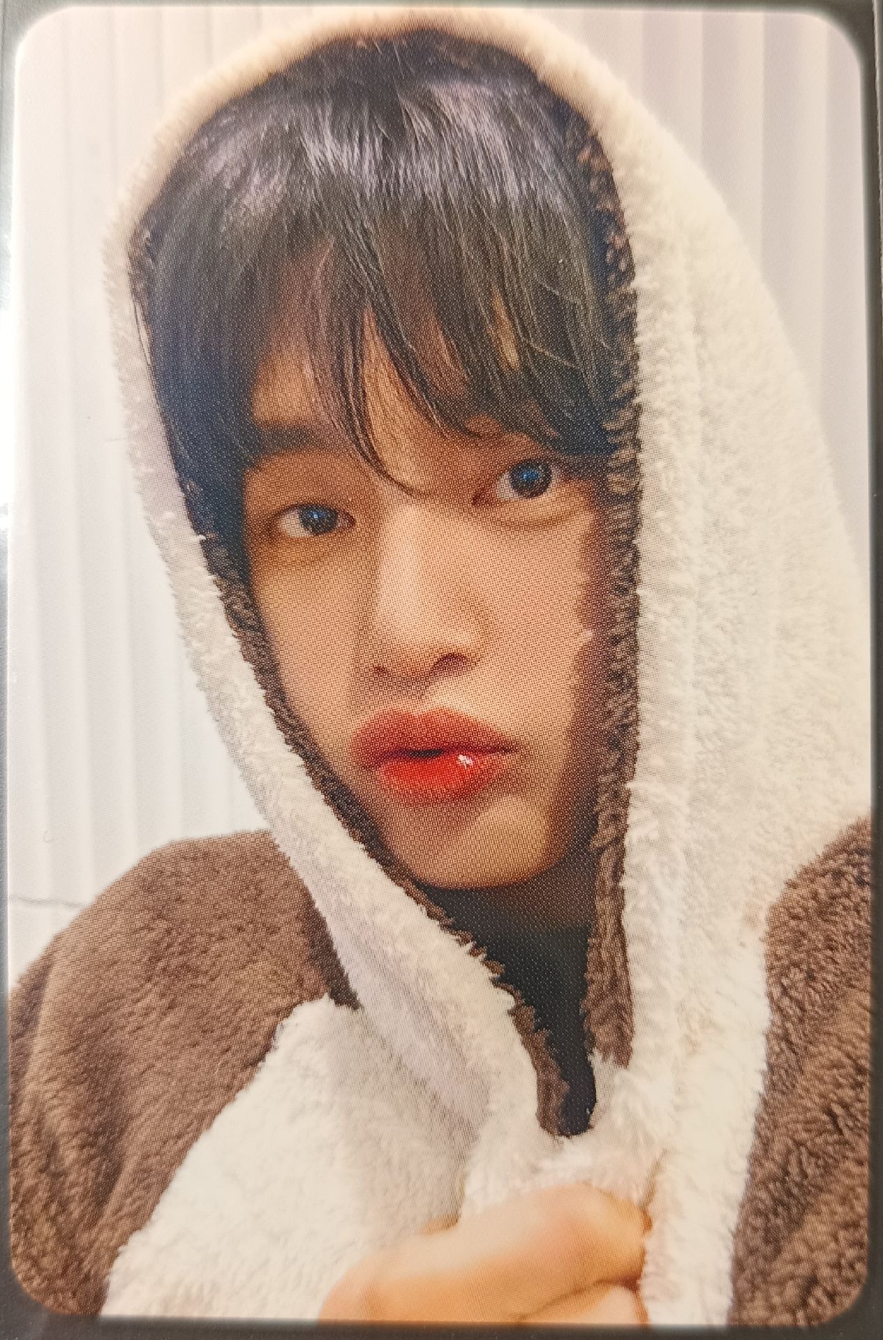 迷五 ms 1.0 簽售卡 動物睡衣 ver. 雄