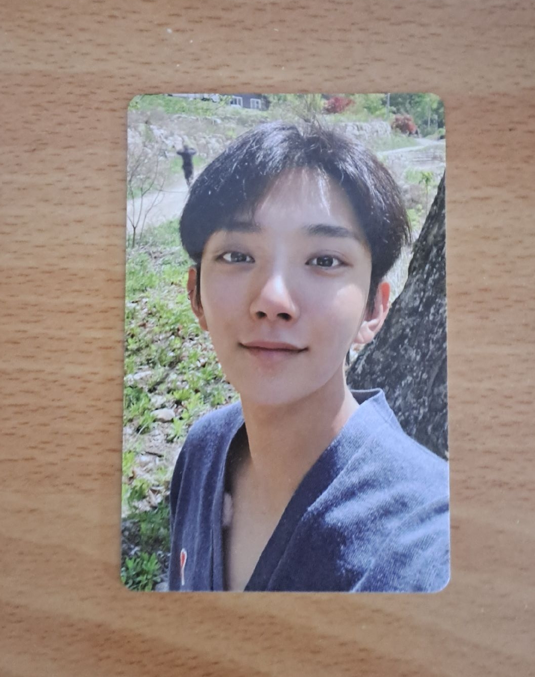 in the soop 1.0秀卡