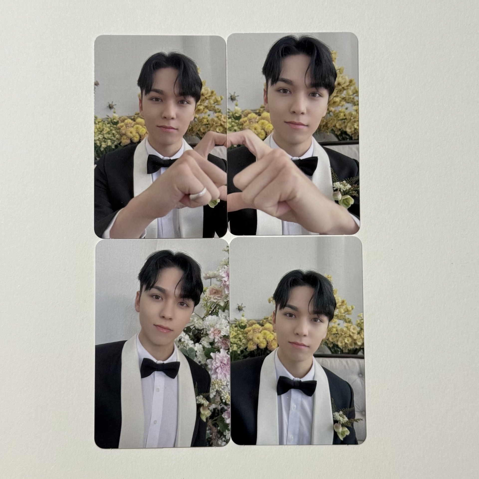 🐻‍❄️VERNON MINI10 專輯卡 CARAT ver.