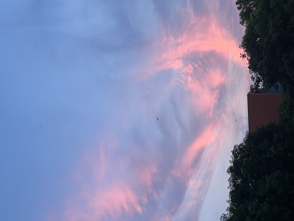 柚月