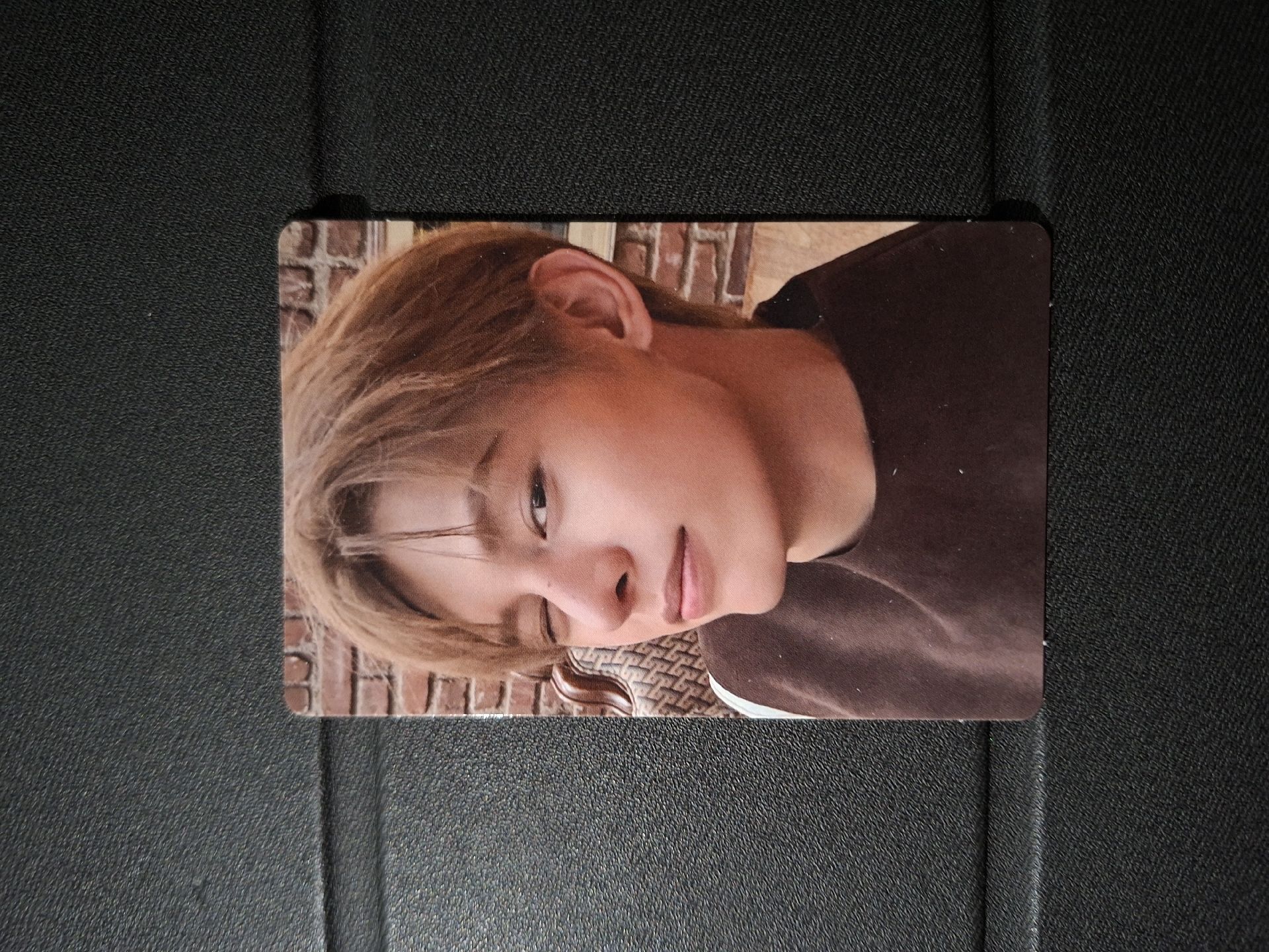 趙雨凡的狗專拍賣場