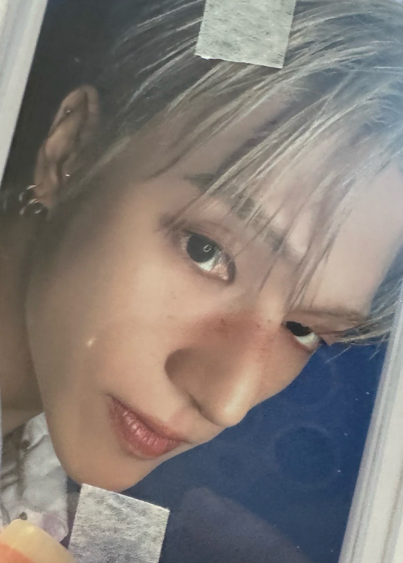 lemon drop 大臉榮