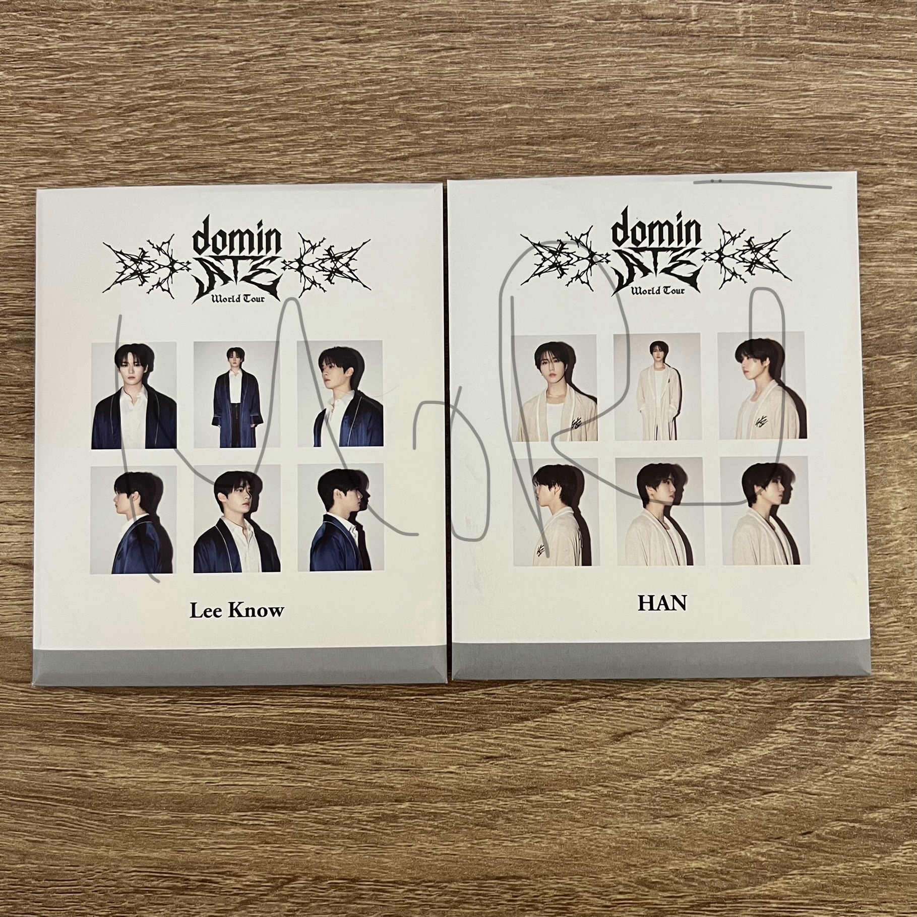 Stray kids 日本 dominate 周邊 instant照片組 拍立得 小卡