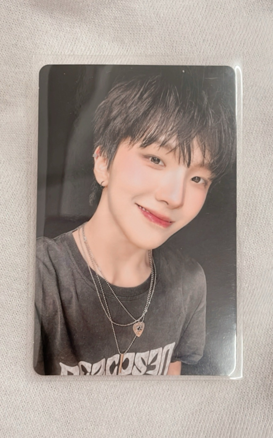 雲鶴 19.99 單封專輯卡