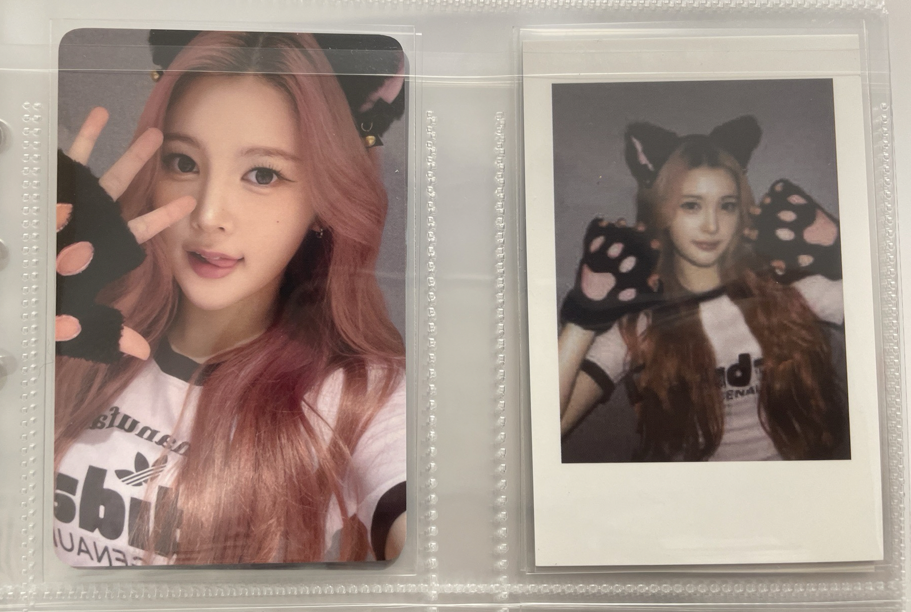 Ana el2.0 拍立得+簽售卡