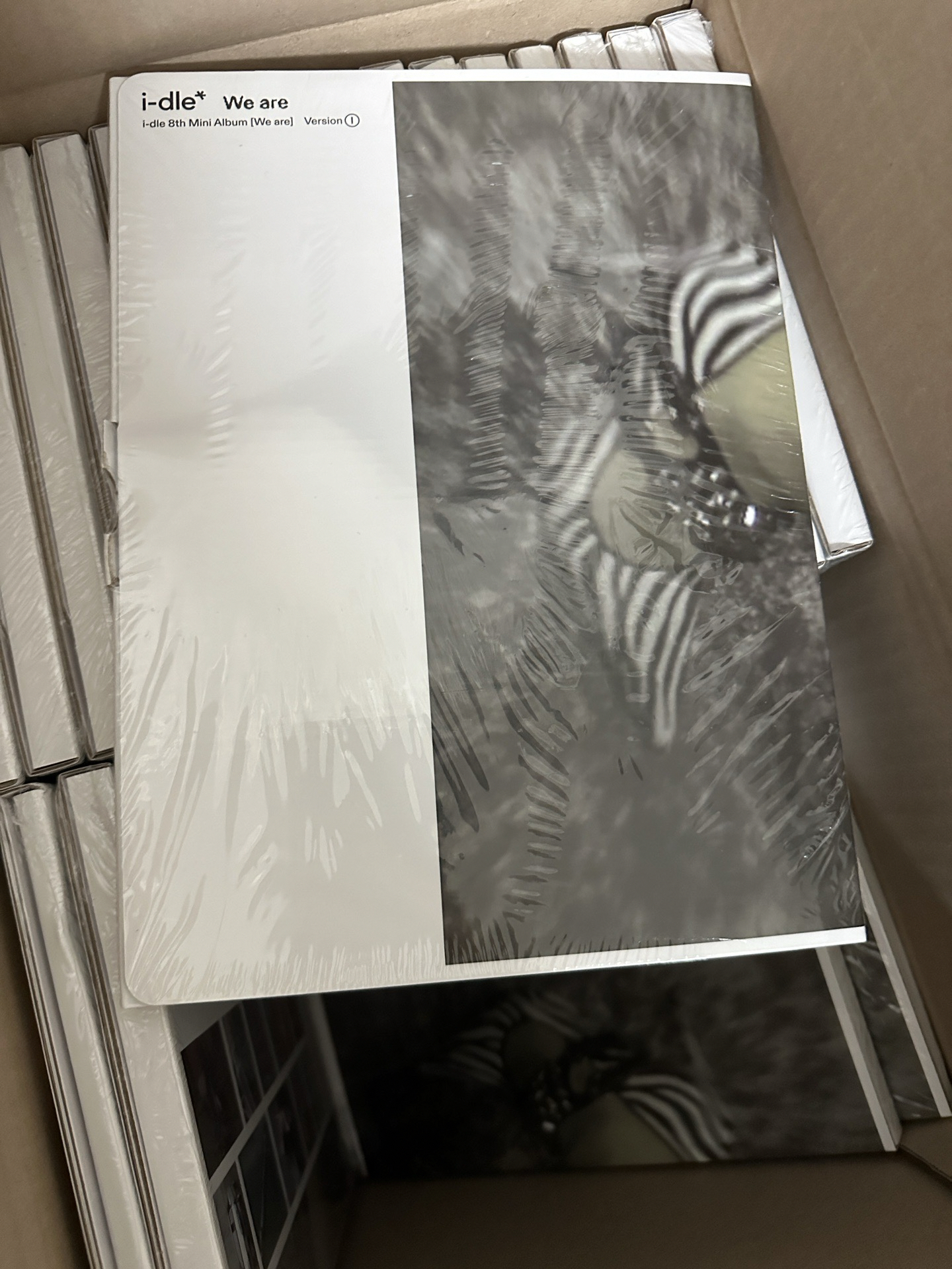 I版（前導預告版）