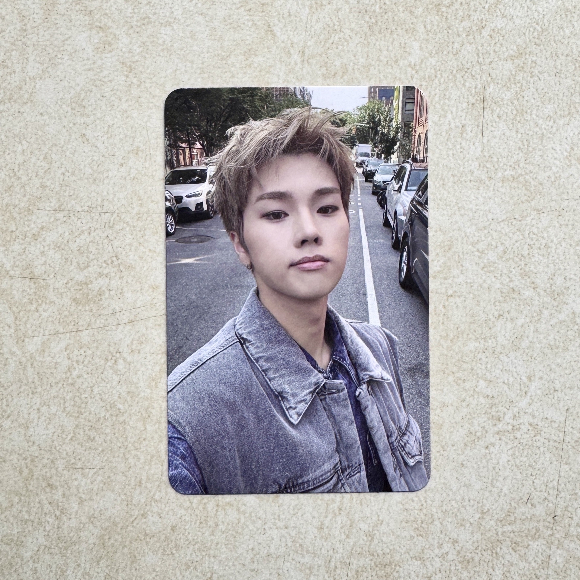 正洙 LIVE and FALL 專卡