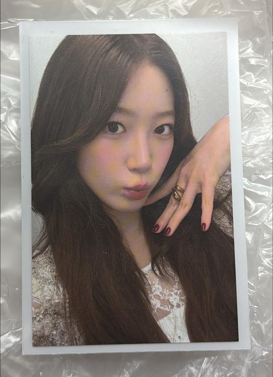 ｡·* ✧˚台北粽葉 ｡·* ✧˚