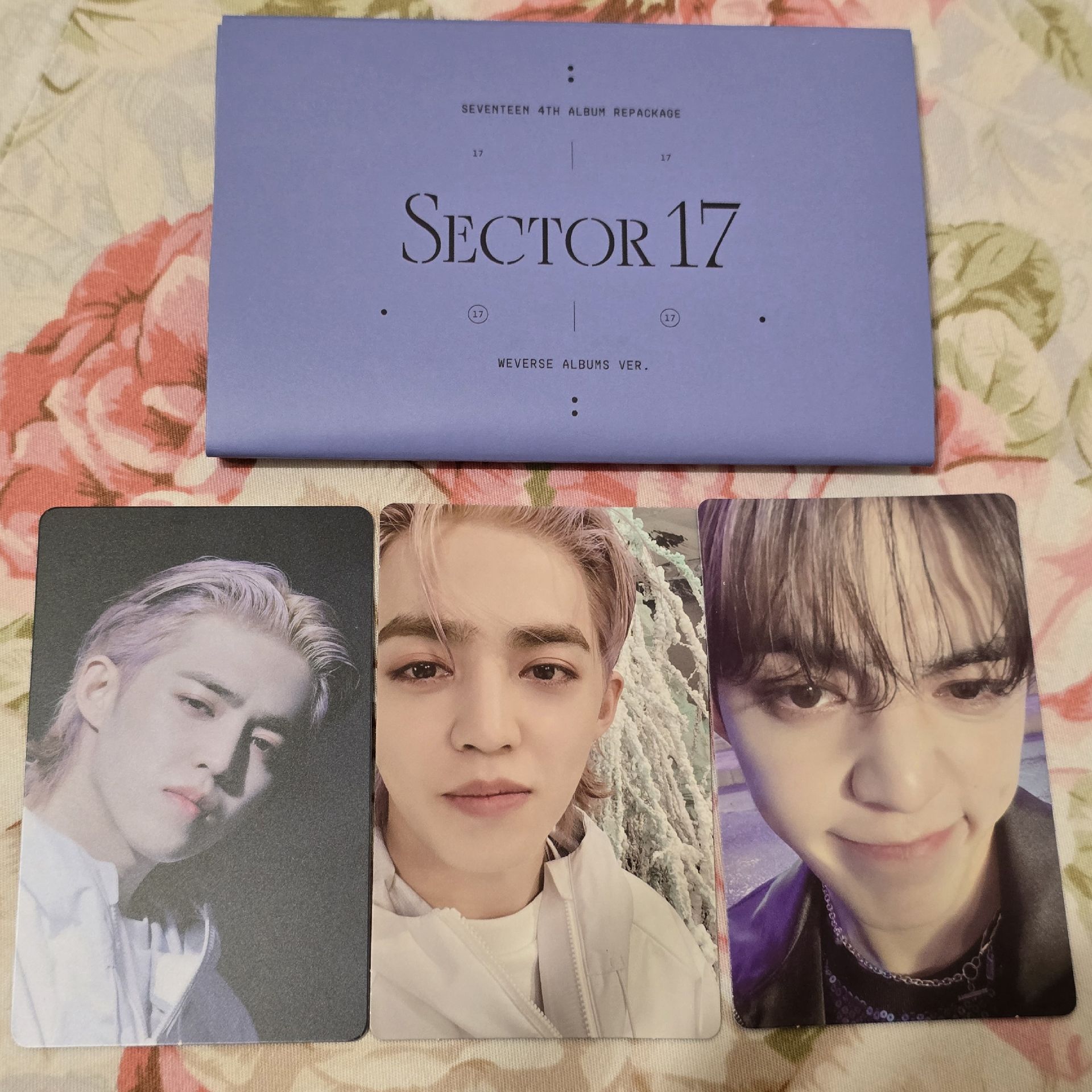 正四後續SECTOR17電子專