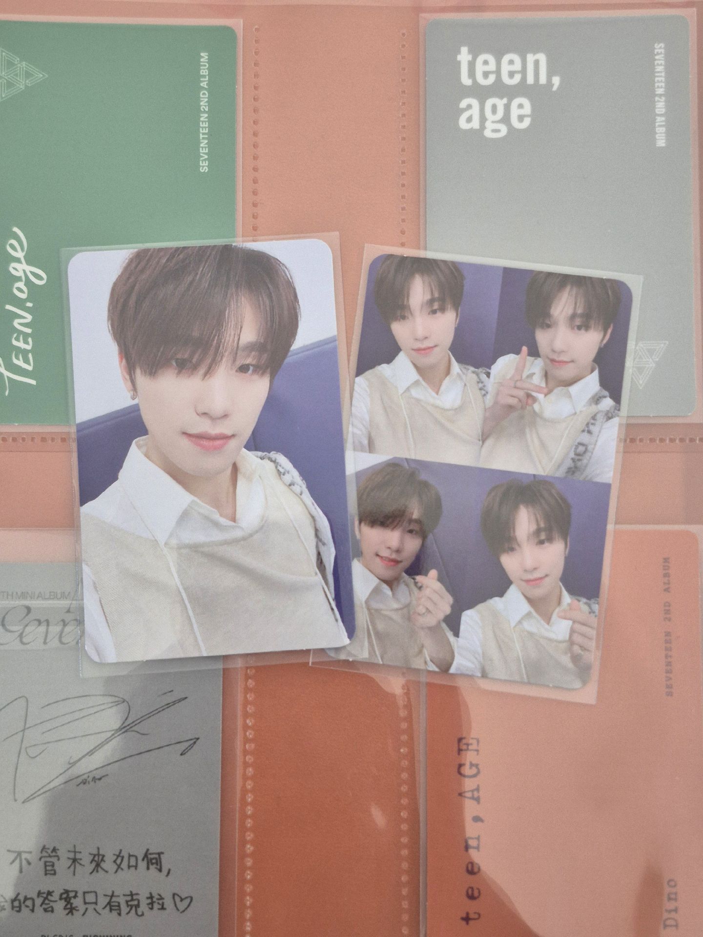 Dino李燦 | 小樹杈比心