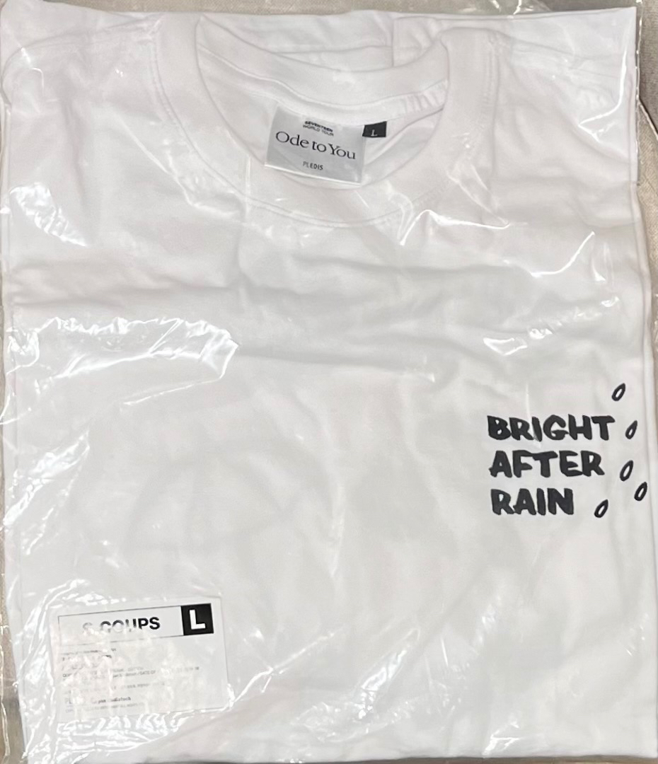 哲 Ode to you T shirt (L)